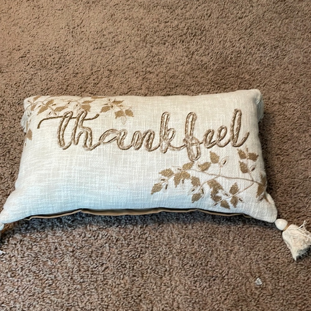 Gently used  Bee & Willow”Thankful pillow insert included 24”x 13”
